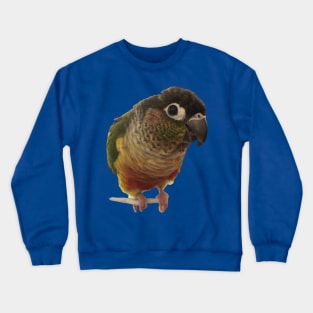 Green Cheek Conure Parrot Bird design, Love for birds Crewneck Sweatshirt